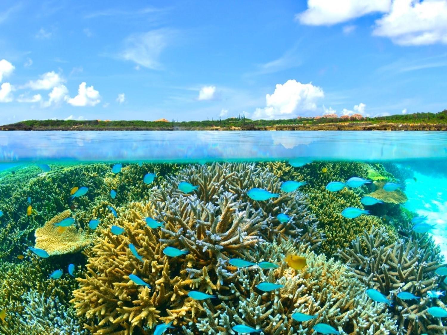 Hotel Shigira Mirage Miyakojima  Eksteriør bilde