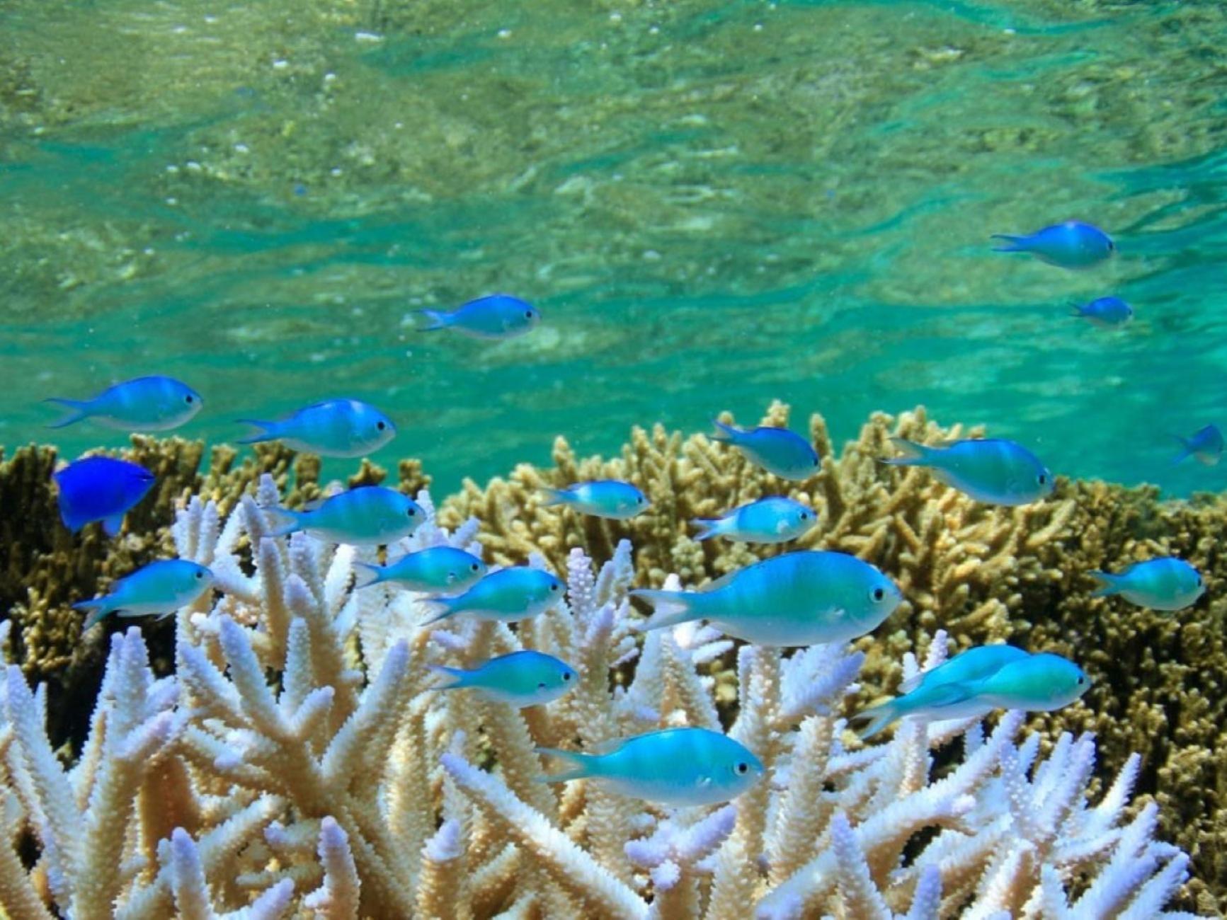 Hotel Shigira Mirage Miyakojima  Eksteriør bilde